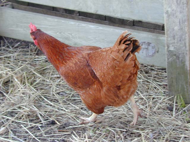 DSCN8327