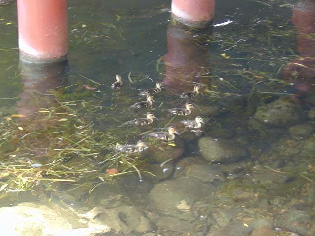 DSCN8878
