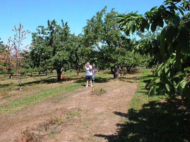 DSCN7180