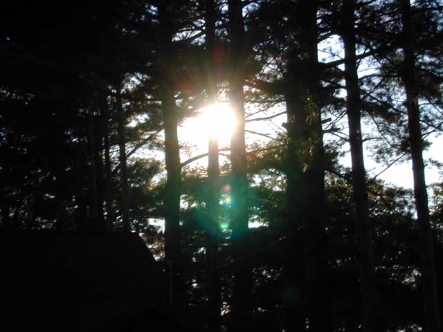 DSCN8549