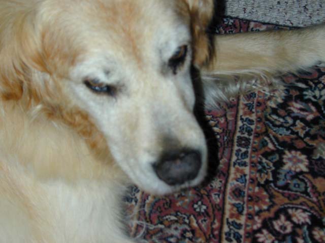 DSCN8476