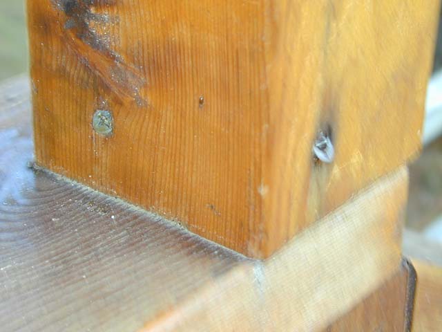 DSCN8484