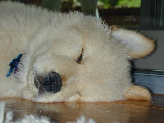 DSCN8507