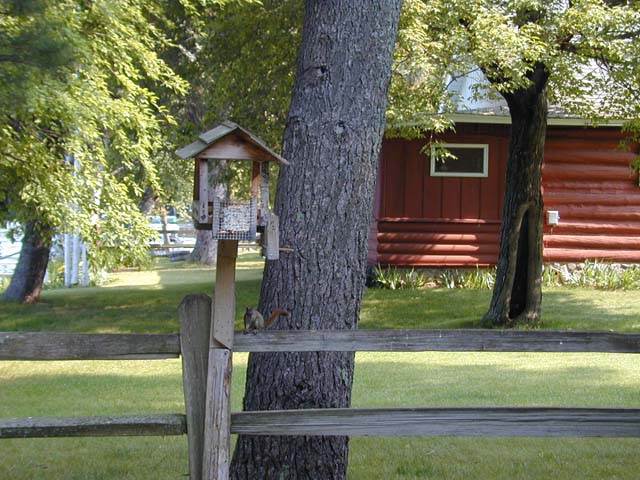 DSCN8695