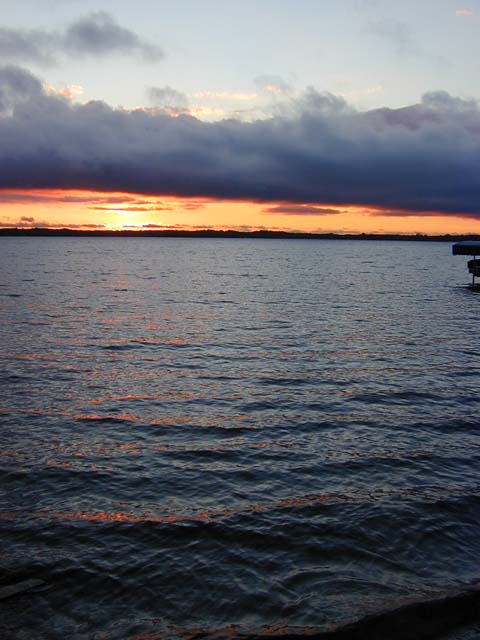 DSCN8954