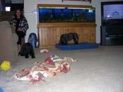 DSCN3165