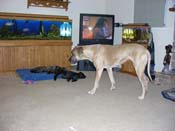 DSCN3239