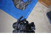 DSCN3244
