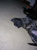 DSCN3258